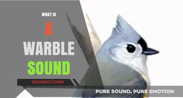 Understanding the Unique Warble Sound: Origins, Characteristics, and Examples