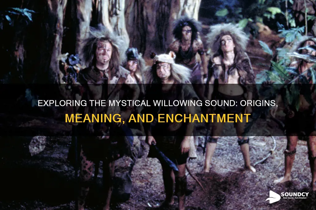 what is a willowing sound