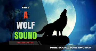 Understanding the Haunting Howls: What is a Wolf Sound?