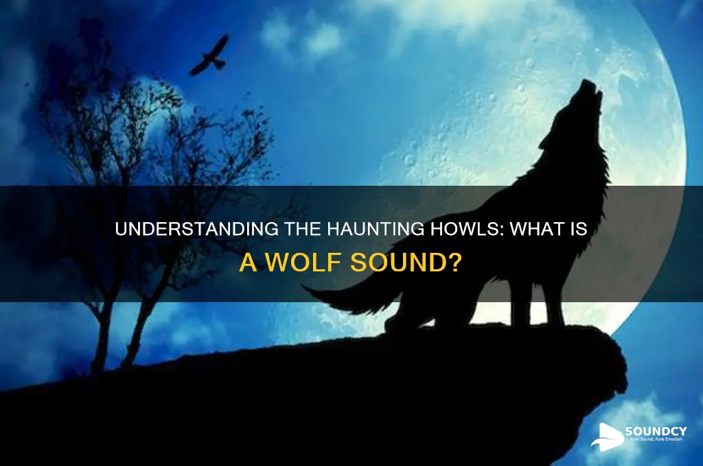what is a wolf sound