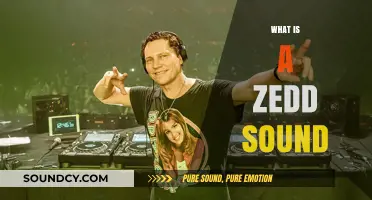 Exploring the Unique Electronic Music Style of Zedd's Signature Sound
