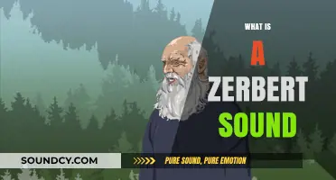 What is a Zerbert Sound? Exploring the Playful Noise Explained