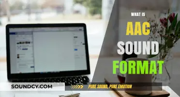 Understanding AAC: The Advanced Audio Coding Sound Format Explained