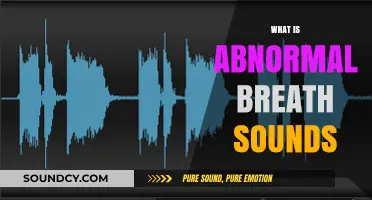 Understanding Abnormal Breath Sounds: Causes, Types, and When to Seek Help