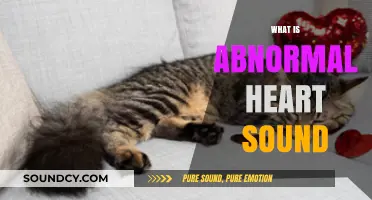 Understanding Abnormal Heart Sounds: Causes, Symptoms, and Diagnosis Explained