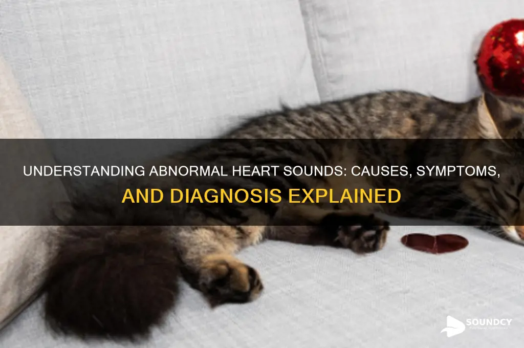 what is abnormal heart sound