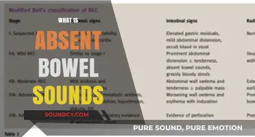 Understanding Absent Bowel Sounds: Causes, Symptoms, and Medical Implications
