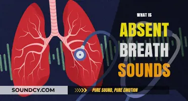 Understanding Absent Breath Sounds: Causes, Diagnosis, and Clinical Significance