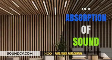 Understanding Sound Absorption: How Materials Reduce Noise and Echo