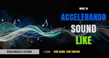 Understanding the Sweeping, Dynamic Effect of Accelerando in Music
