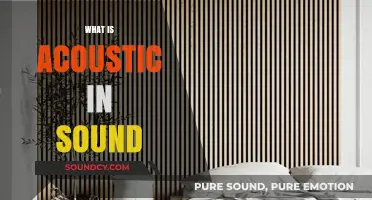 Understanding Acoustic Sound: Principles, Applications, and Impact on Audio Quality