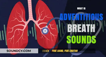 Understanding Adventitious Breath Sounds: Causes, Types, and Clinical Significance