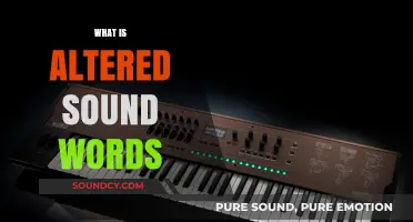Exploring Altered Sound Words: Creative Language Techniques for Unique Expression