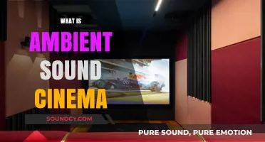 Exploring Ambient Sound Cinema: Immersive Audio-Visual Experiences Unveiled