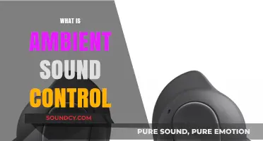 Understanding Ambient Sound Control: Enhancing Your Listening Experience