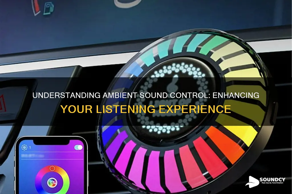 what is ambient sound control
