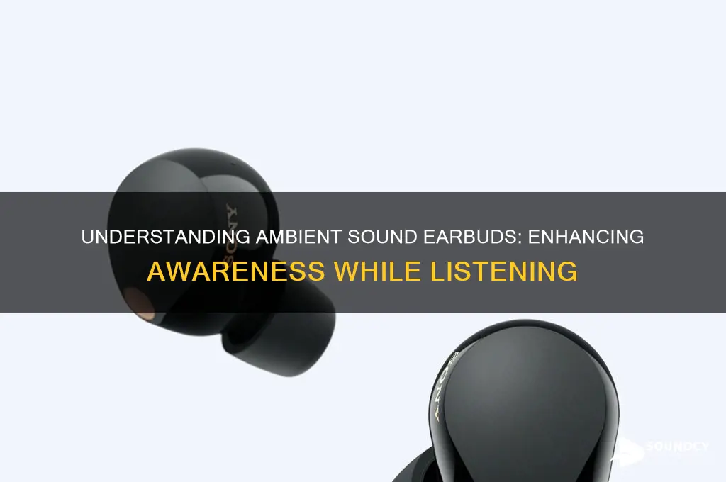 what is ambient sound earbuds