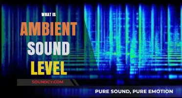 Understanding Ambient Sound Levels: Definition, Measurement, and Importance