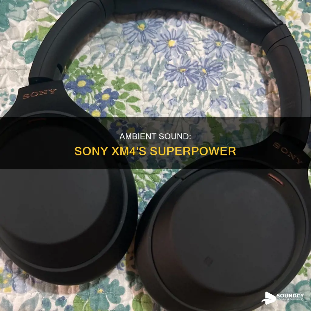what is ambient sound saony xm4