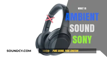 Understanding Sony's Ambient Sound Technology: Features, Benefits, and Applications