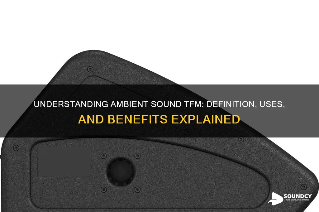 what is ambient sound tfm