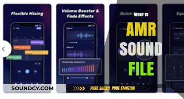 Understanding AMR Sound Files: A Comprehensive Guide to Audio Compression