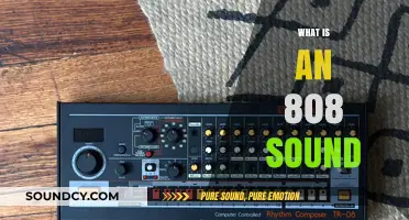 Understanding the Iconic 808 Sound: History, Impact, and Production Techniques