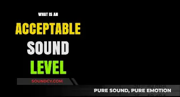 Sound Levels: What's Too Loud?