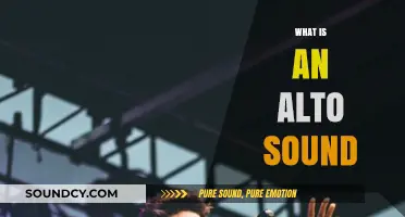Understanding the Rich, Warm Alto Sound in Music and Vocals