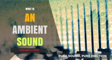 Understanding Ambient Sound: Definition, Uses, and Benefits Explained