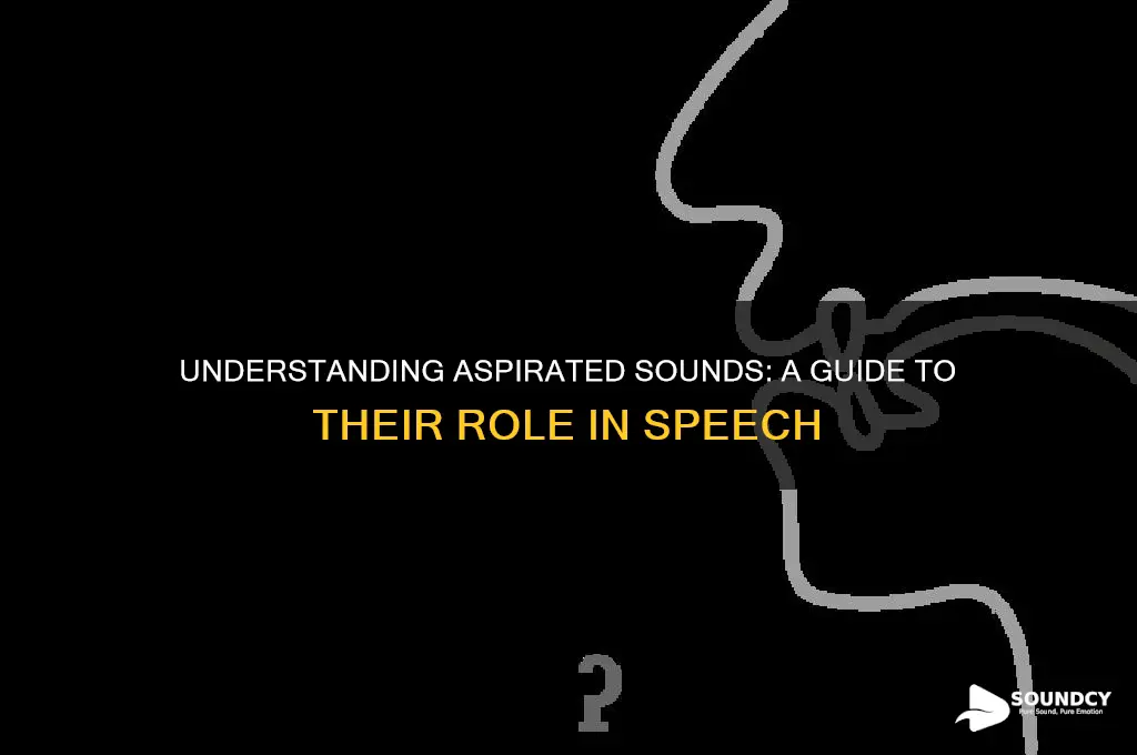 what is an aspirated sound