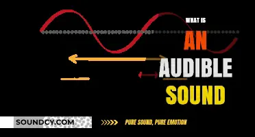 Understanding Audible Sound: Definition, Frequency Range, and Human Perception