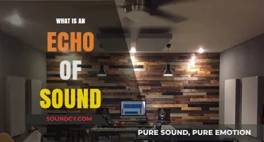 Sound's Echo: How Does it Work?