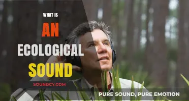 Understanding Ecological Sounds: Nature's Acoustic Balance and Its Importance