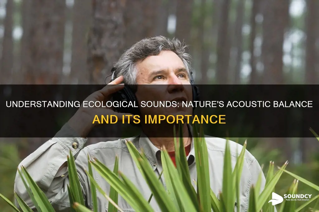 what is an ecological sound