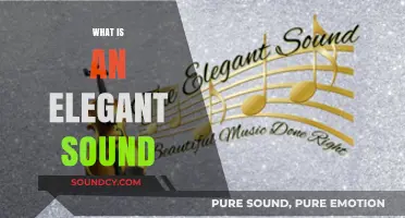 Exploring the Essence of Elegant Sound: A Journey Through Harmony and Grace
