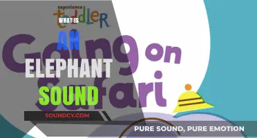 Unveiling the Majestic Trumpet: Understanding the Unique Elephant Sound