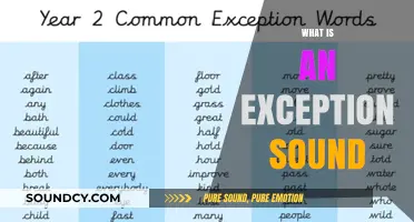 Understanding Exception Sounds: Definition, Examples, and Their Unique Role