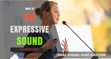 Exploring Expressive Sounds: Unlocking Emotion and Meaning in Music and Speech
