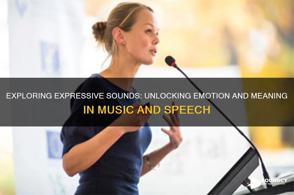 what is an expressive sound