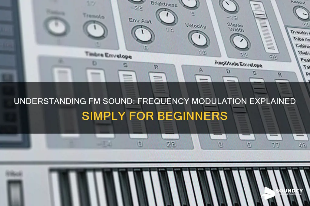 what is an fm sound