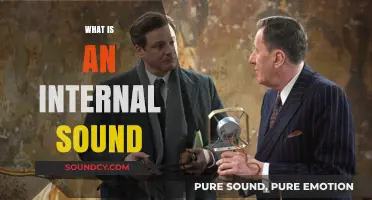 Understanding Internal Sounds: Definition, Causes, and Effects Explained