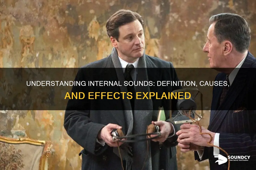 what is an internal sound