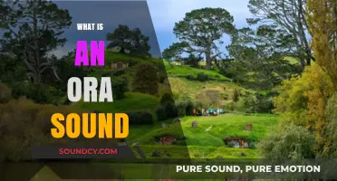 Unveiling the Ora Sound: Exploring Its Meaning and Origins