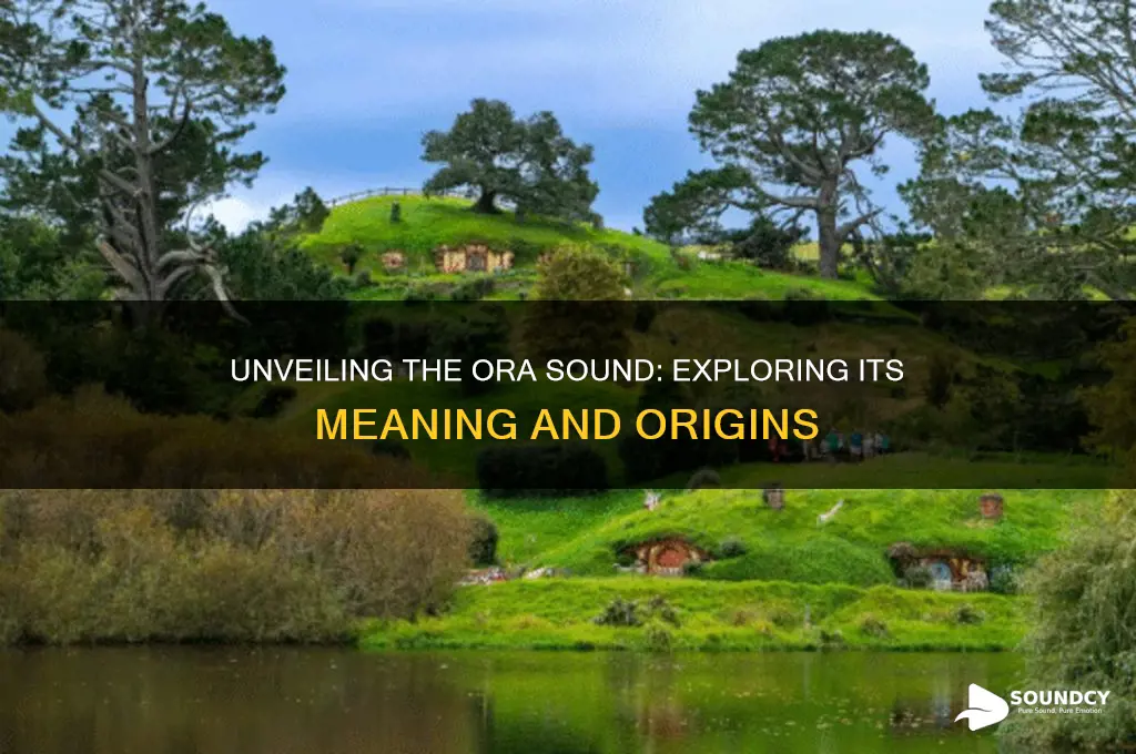what is an ora sound
