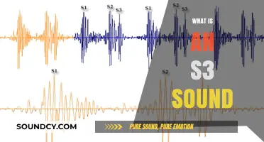 Understanding the S3 Heart Sound: Causes, Significance, and Clinical Implications