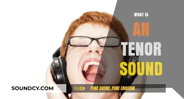 Understanding the Rich, Resonant Tenor Sound: A Vocal Range Explained