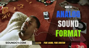 Understanding Analog Sound Format: A Classic Audio Technology Explained