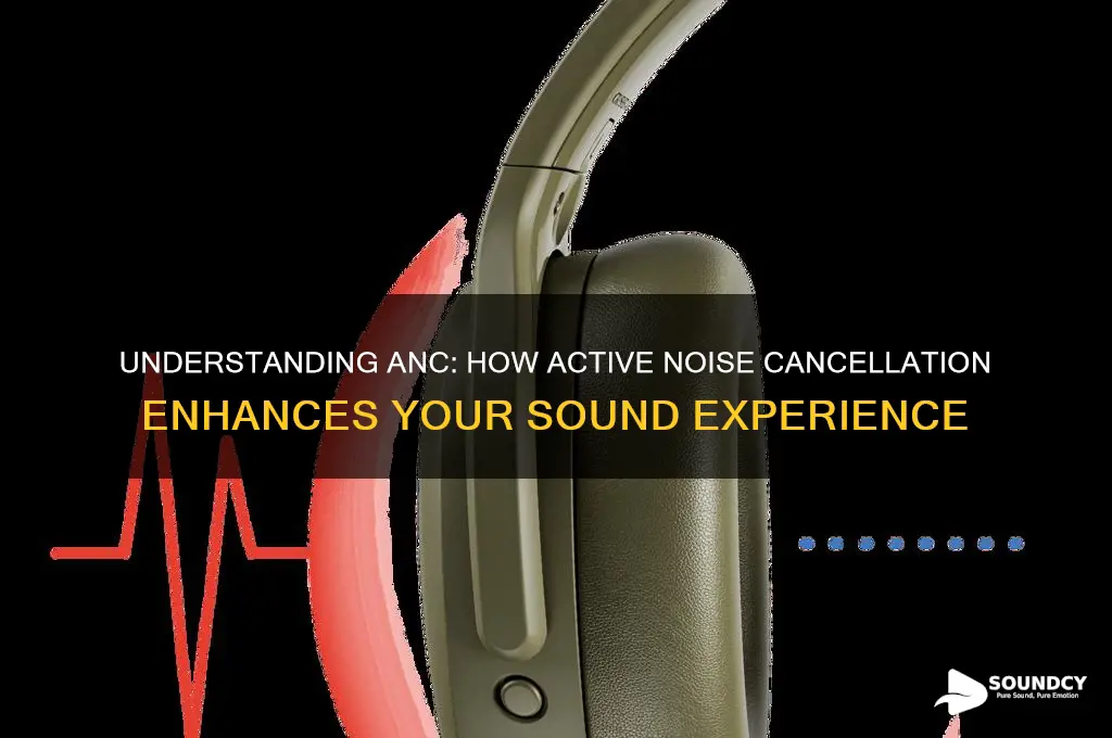 what is anc in sound