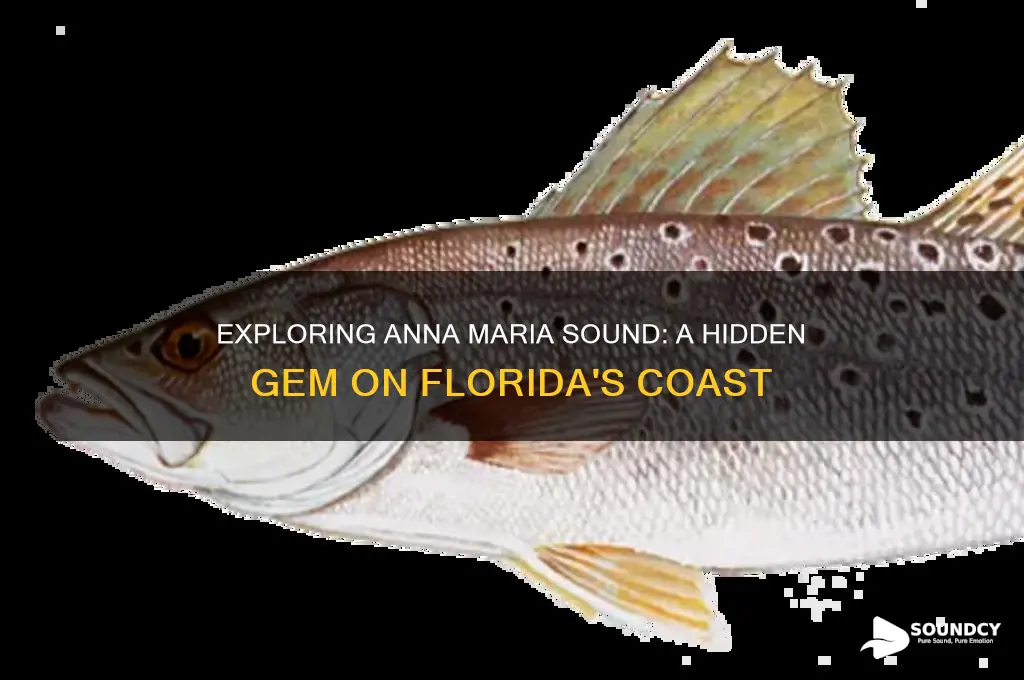 what is anna maria sound